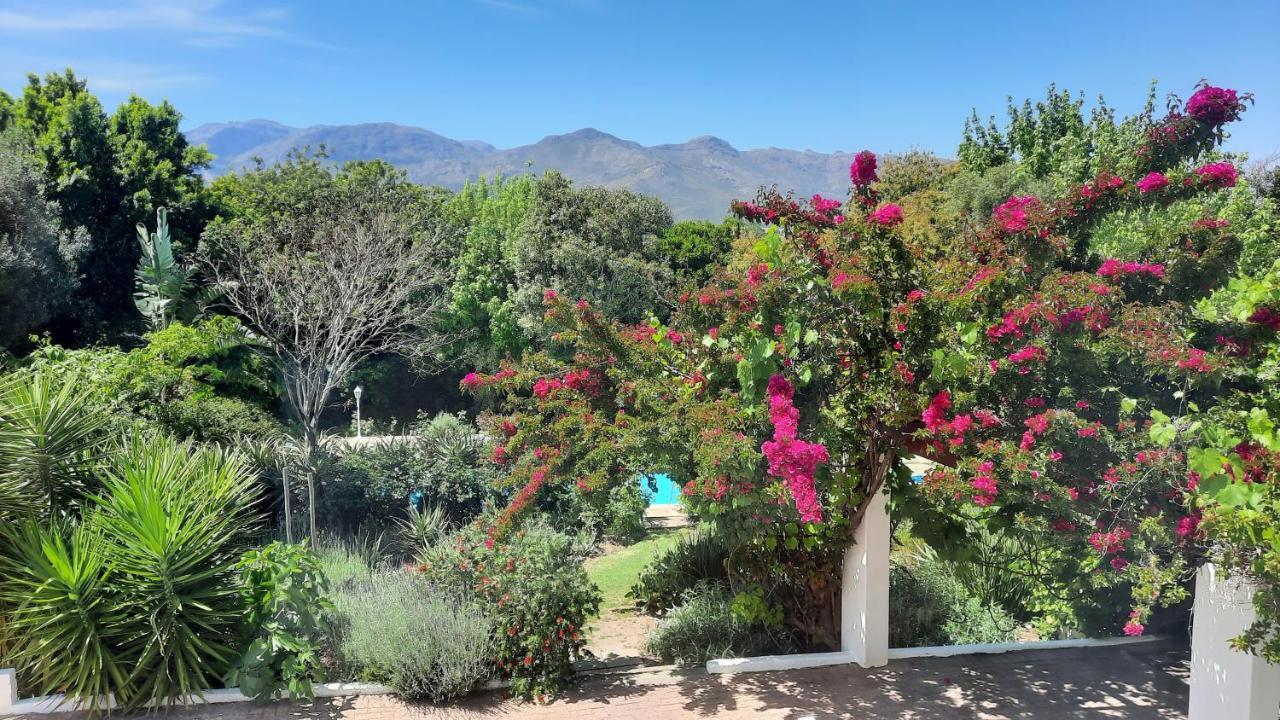 Alba House Guest House Paarl Zewnętrze zdjęcie