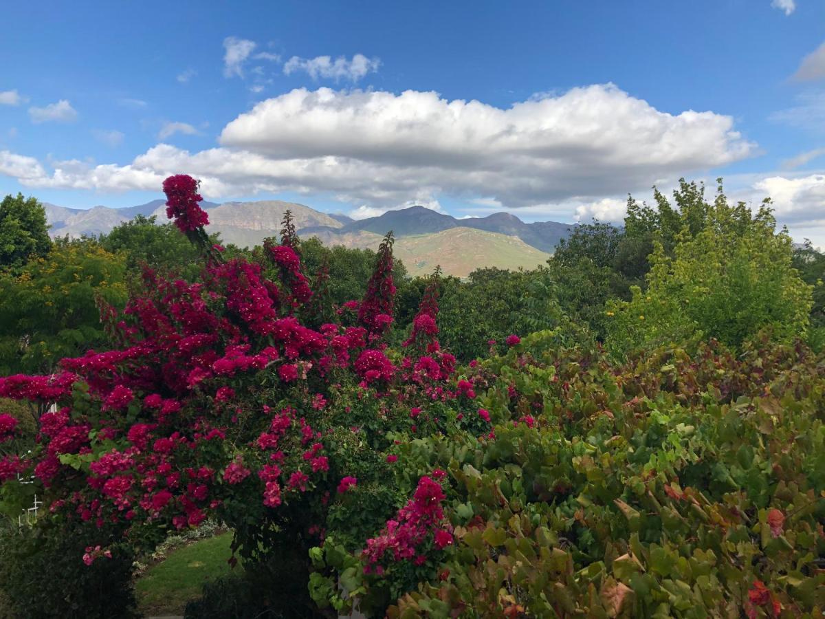 Alba House Guest House Paarl Zewnętrze zdjęcie